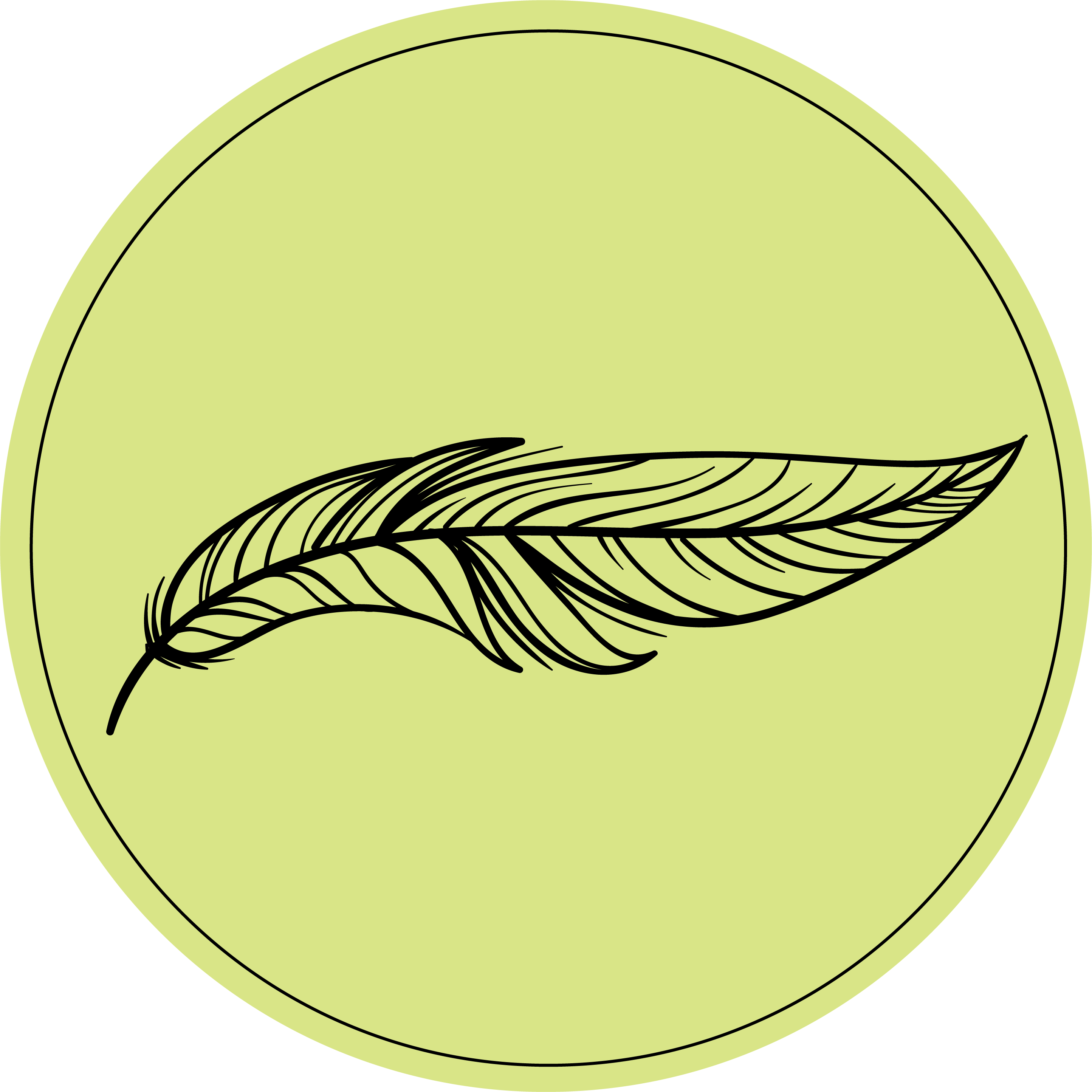 green circular logo with a black feather 