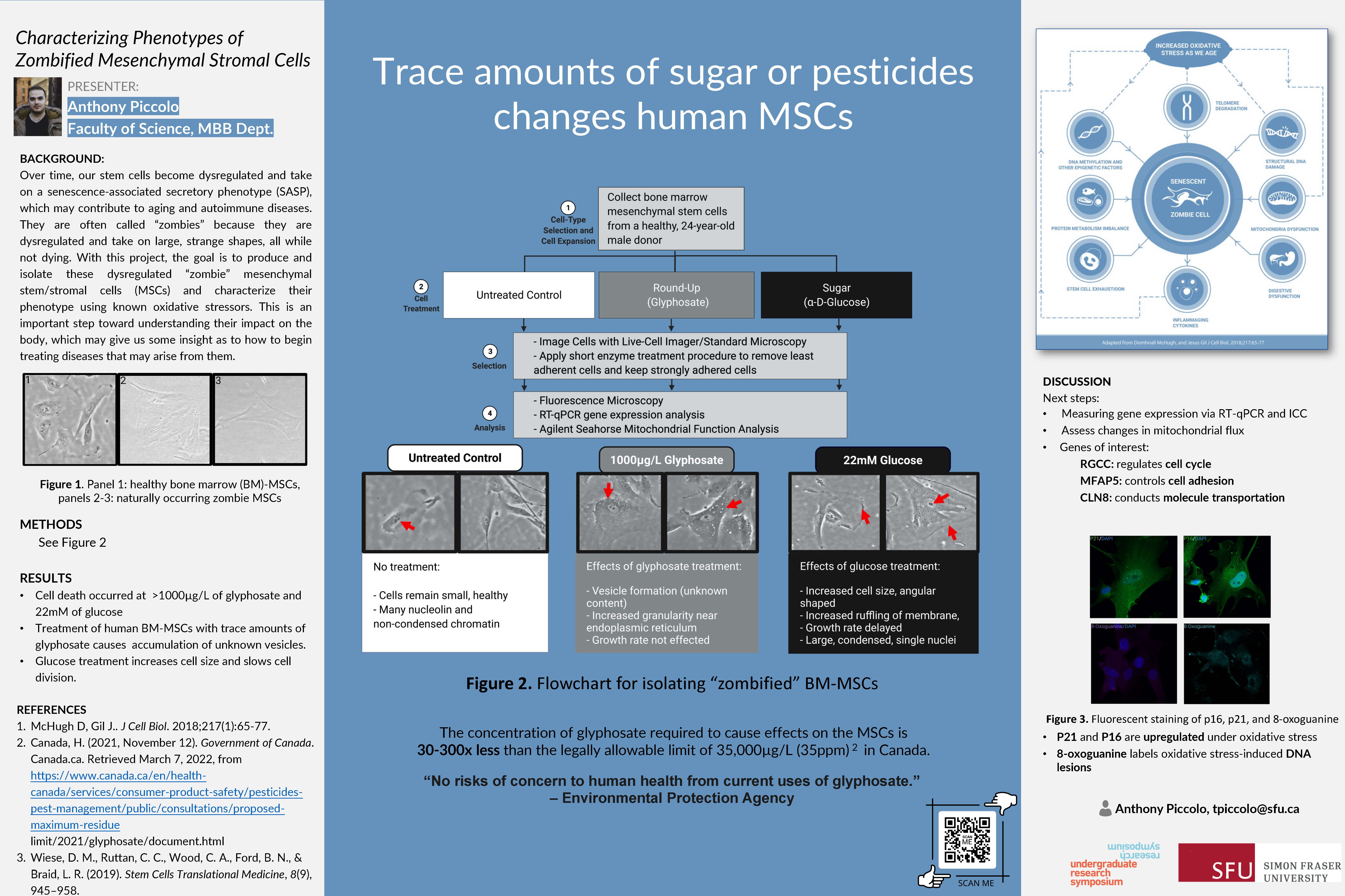 thumbnail of research poster