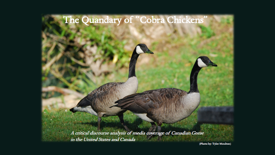 Slide with text and an image of two geese